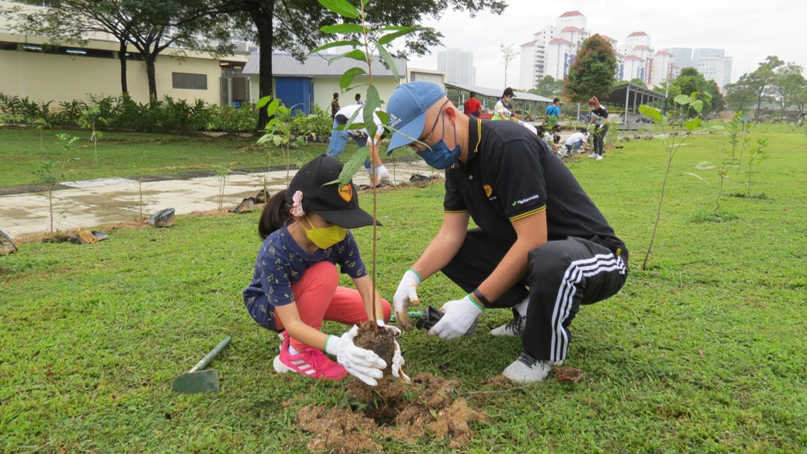 2,000 trees planted - and growing