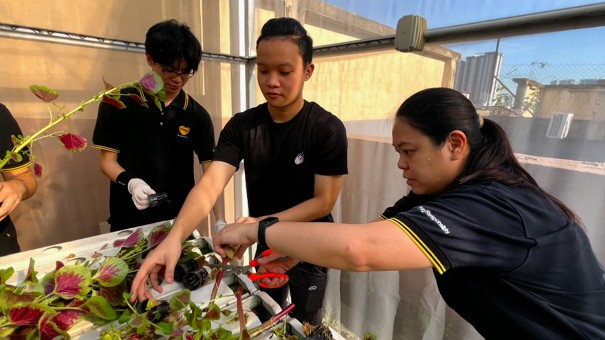 Volunteering for a better tomorrow